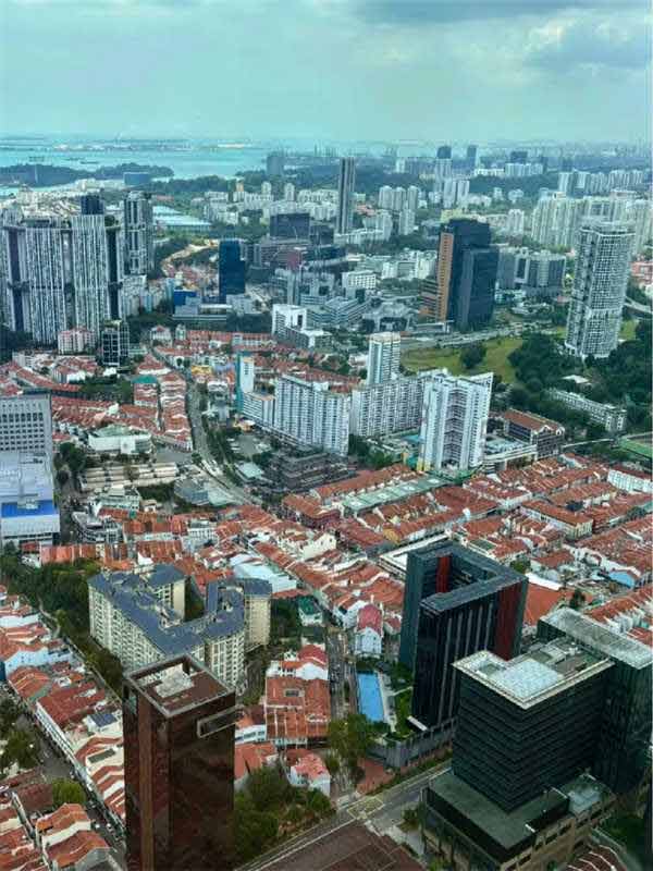 坡國移民自雇vs雇主擔(dān)保，誰更香？