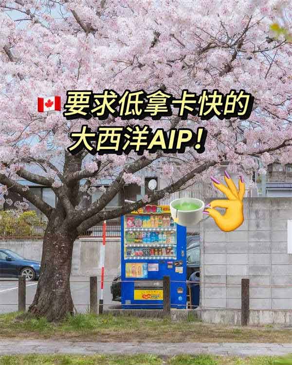 加拿大要求低拿卡快的大西洋AIP！