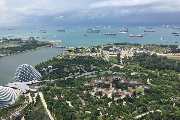 為什么那么多人想要移民新加坡